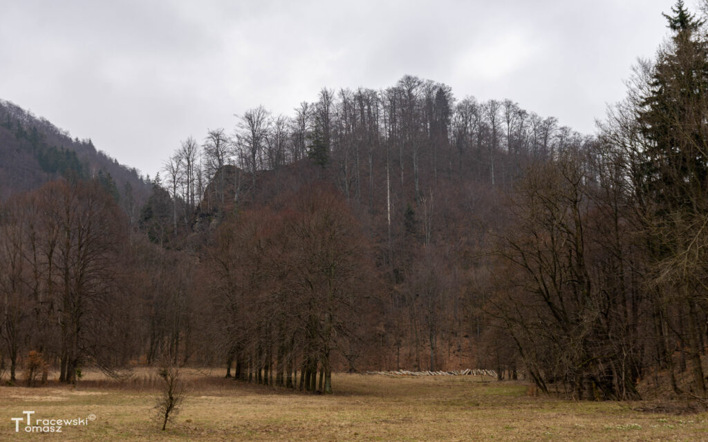 Widok na wzgórze zamkowe od strony Sokołowska