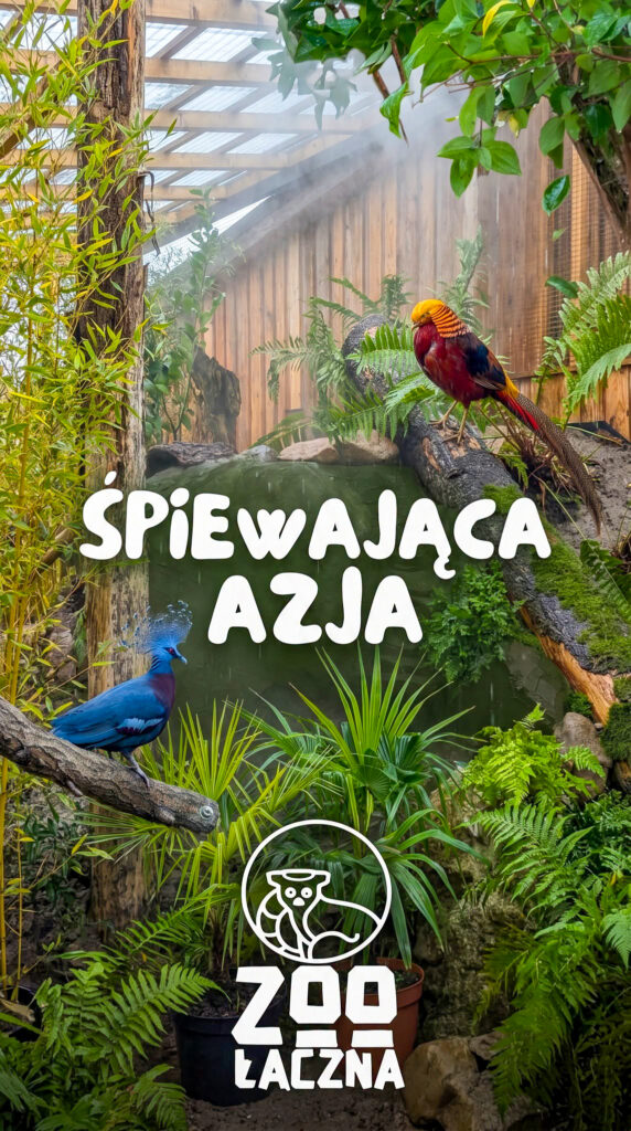 Zoo1