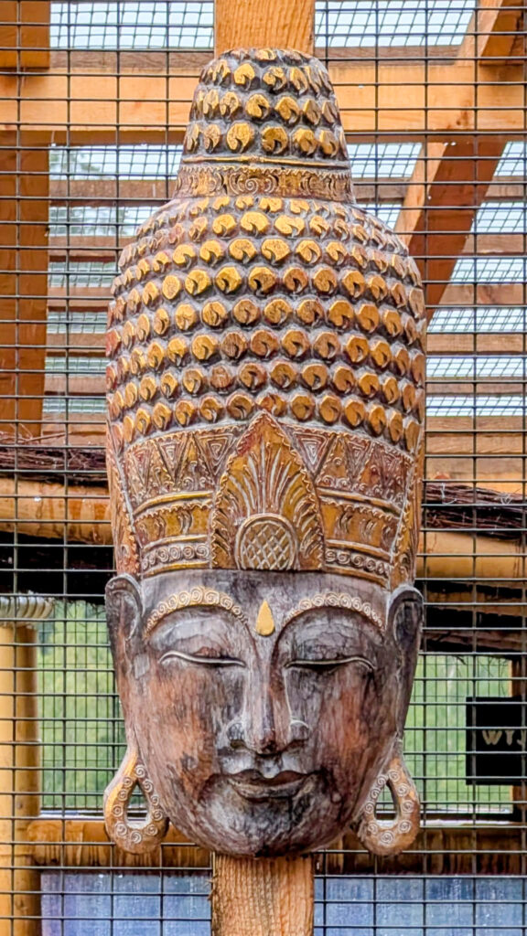 Zoo11